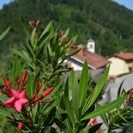 Apartment Apartma Zala Most Na Soci