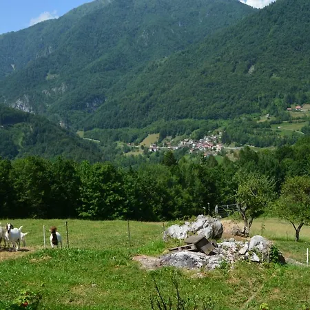 Apartament Apartma Zala *