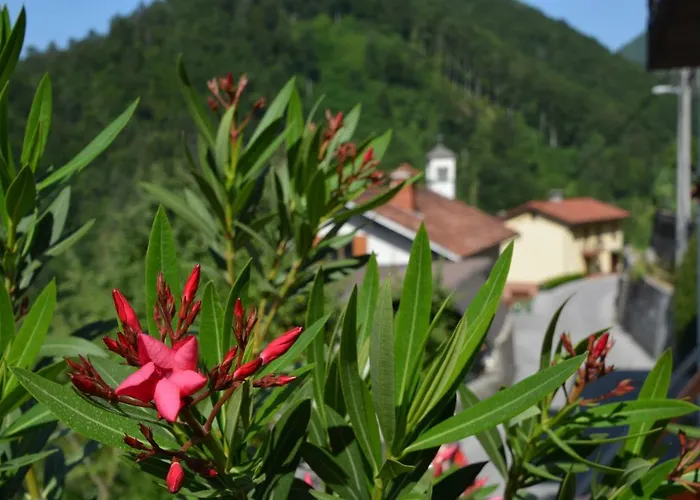 Appartamento Apartma Zala Most na Soči