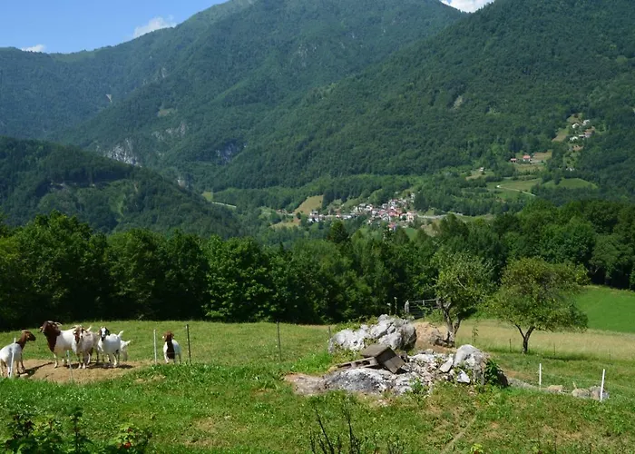 Appartamento Apartma Zala *